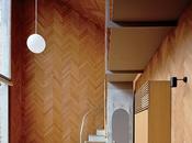 Compact Wooden Home Japan