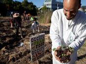 Occupy Farm Reoccupies Gill Tract