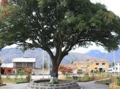 DAILY PHOTO: Town Square Mollepata, Peru