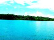 Chasing Elusive World