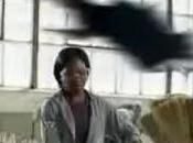 Swaziland Aviation Authority Bans Broomstick Flying Witches