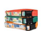 Modern Gear from Waggo