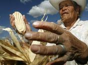 ‘People Corn’ Protest Strain Mexico