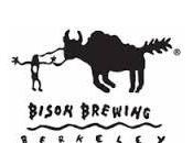 Bison Brewing Company