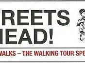 Case Guides Versus Guide Books