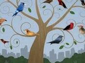 Birders: Central Park Effect