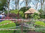 Chelsea 2013: Plant Sell