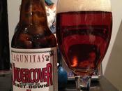 Beer Review Lagunitas Undercover Investigation Shut-down