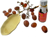 Shopped Grapeseed Carrier