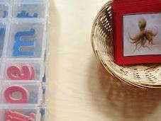 Montessori Inspired Initial Sound Cards