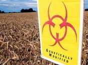 Unapproved Monsanto Crop Found Growing Oregon