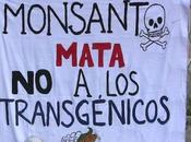 Venezuelan Government Moves Forward with Seeds Law, Movements Demand Anti-GMO Measures