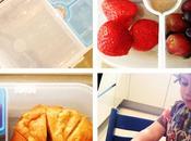 Munchkin Bento Mealtime