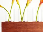 Home Collection JcPenney