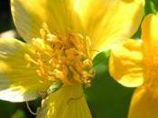 Shining Bright Knowing It!/Write