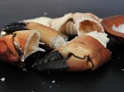 Crab Claws with Aioli Salt