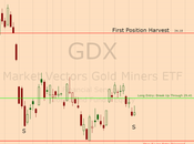 Stock Market Update: Gold Miners Bottoming?