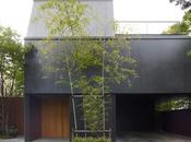 House-S Keiji Ashizawa