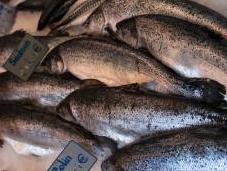 Fuel Cell Technology Keeping Salmon Fresh