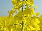 Free Planet¹ CUSTODIAN Published Available Amazon Kindle, Ebook Paperback Formats