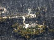 Fires; Trashcan Cooking Over Wood