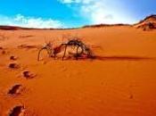 Dealing With Extreme Temperatures