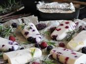 Coconut Milk Fruit Popsicles