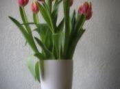 Expression Perspectives/Sharing Insights