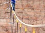 Watch: Daredevil Wallenda Walk Across Grand Canyon Tightrope