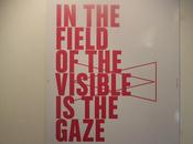 Field Visible Gaze