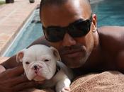 Support Shemar Moore with Project: Bounce Back