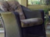 Older/Younger/Men/Women