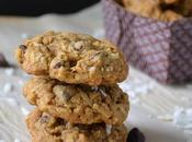 Coconut Chocolate Chip Oatmeal Cookies