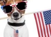Ease Fido’s Fear During Fireworks