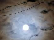 Tortoise Hare Relish Challenge