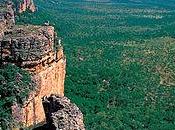 Heading Down Under! Northern Territory Here Come!