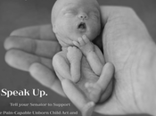 Silencing Those Give Voice Voiceless