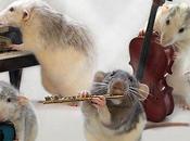 Rats Never Looked This Adorable