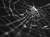 Spider Webs Lure Prey Using Electrostatic Attraction