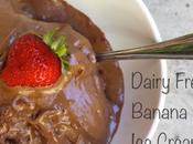 Ingredient Ice-Cream. {Yes It's Healthy Tastes Good!}