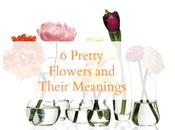 Editors Picks: Flowers Their Meaning