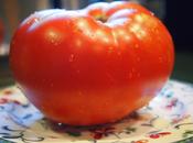 Chic First Tomato Season