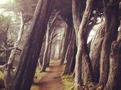 Recent Dwell Snapshots Instagram