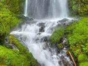 Portland Waterfalls