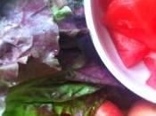 Recipes Free: Leaf, Watermelon Apple Salad