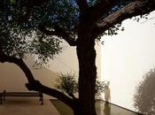 Arrabida House Souto Moura