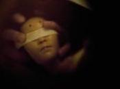 David Lynch, Gauntlet Hair, Soft Metals