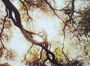 Promo Daily: Nathaniel Wood