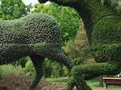 Jaw-Dropping Plant Sculptures From Mosaiculture International 2013