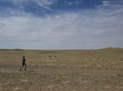 Expedition Gobi Update: Days Challenges Ahead